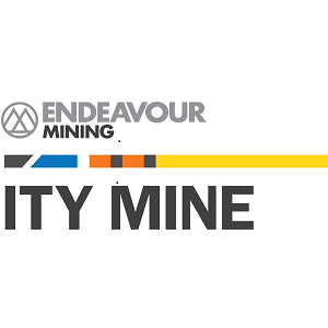 EDV Ity Mine Logo