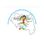 logo programme guinée