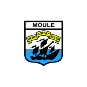 Logo moule